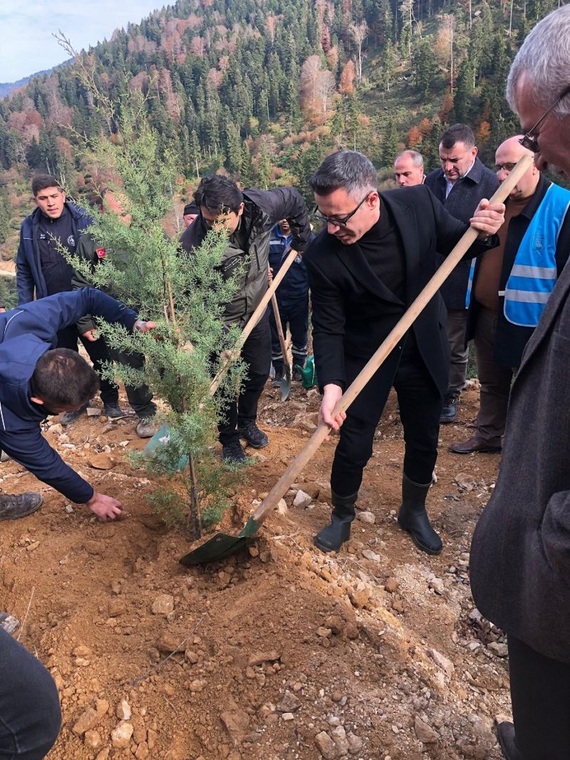 11 Kasım Milli Ağaçlandırma Günü